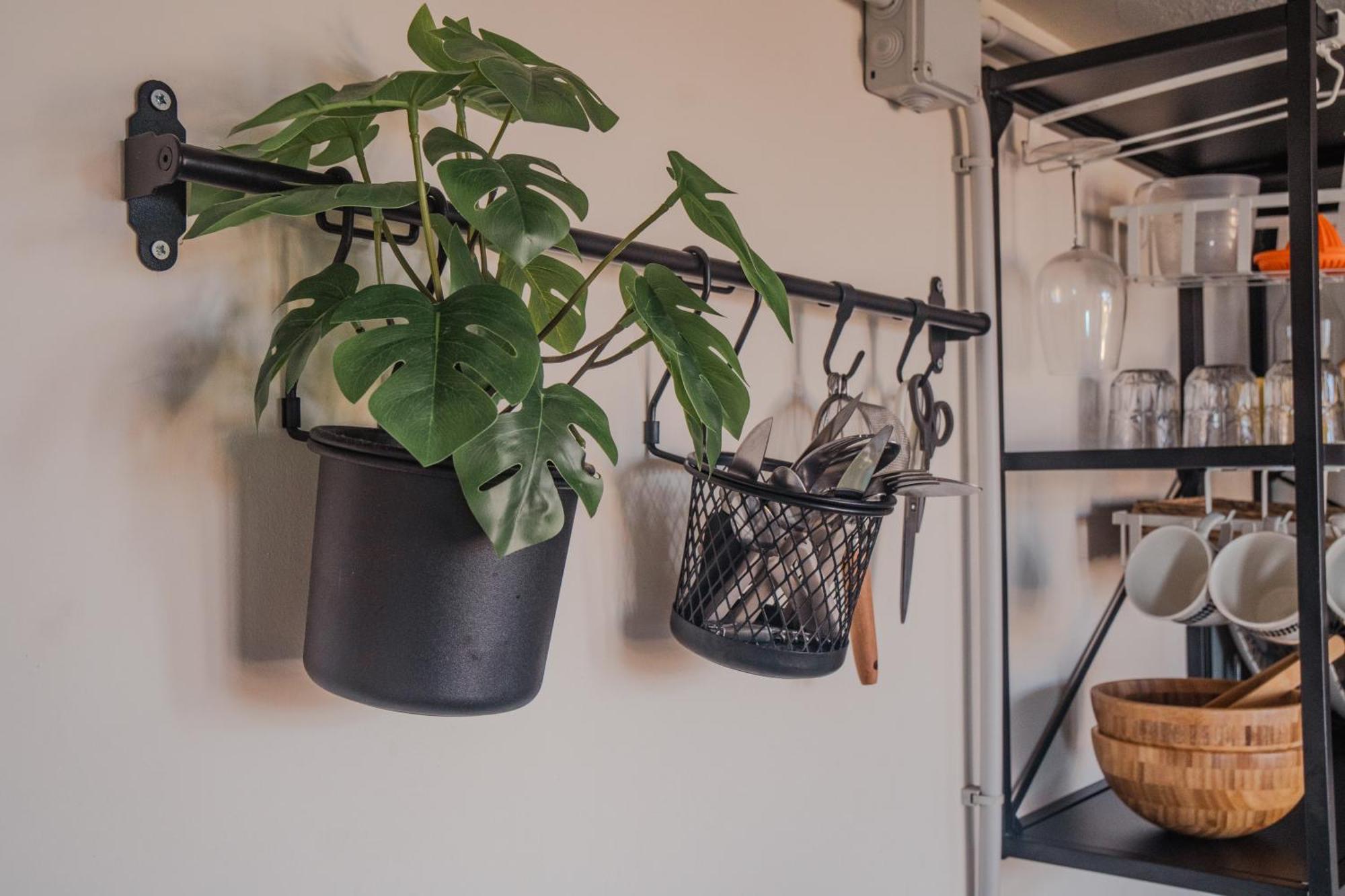 El Estudio De Jessica Apartament La Laguna (Tenerife)